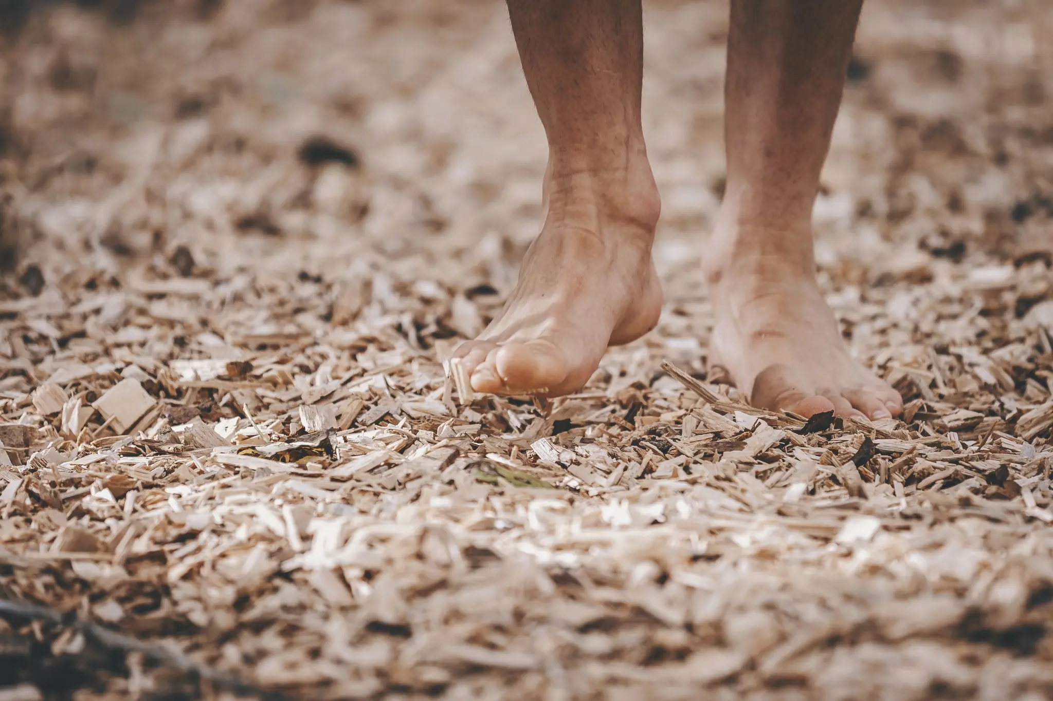 hargassner eesti hakkepuidu katlad